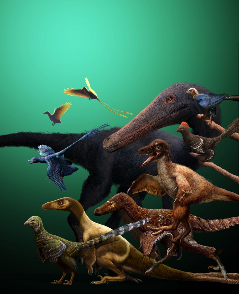 Possible brooding of pterosaur parents