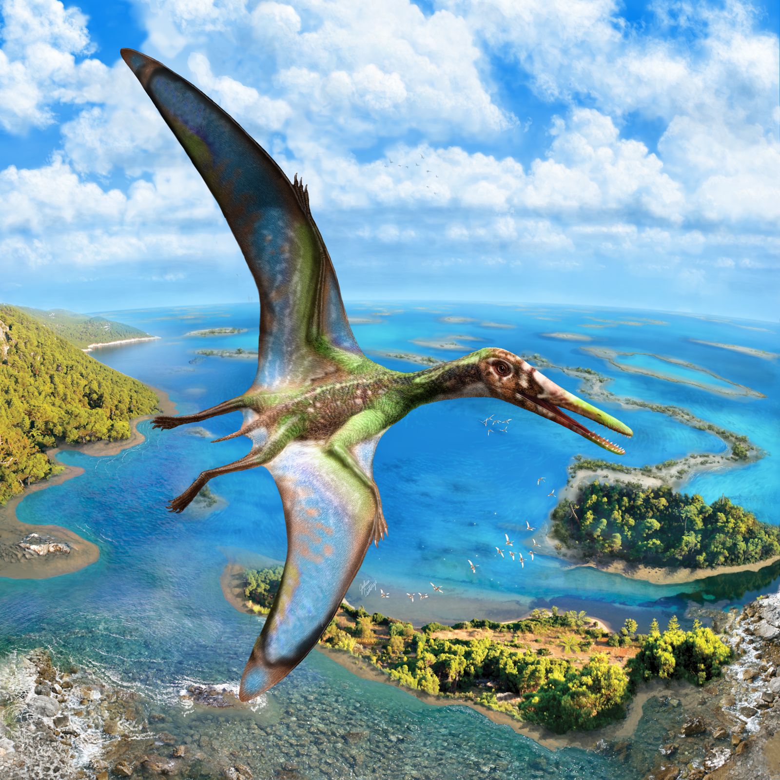 Possible brooding of pterosaur parents